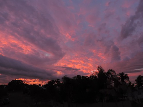 blue bundaberg sky storm nikon p520 pink pinksunset palmtrees orange orangesunset clouds cloud sunset dusk topf25 1000v40f