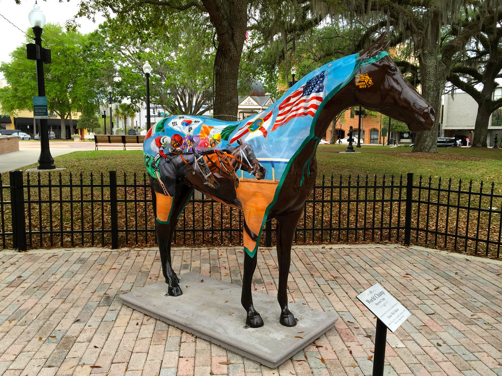 Horse in Ocala, Florida