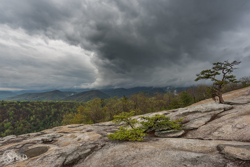 red northcarolina blueridgemountains blueridgeparkway stonemountainstatepark scenicnorthcarolina visitnc nikon20mm18 nikond750