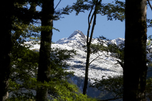 newzealand mountain snow forest canon landscape peak beechforest ninavalley auldwoodphotography