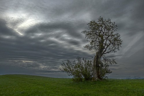 old tree clouds landscape lumix austria österreich alt wolken panasonic landschaft baum niederösterreich hdr ötscher loweraustria mostviertel fz150