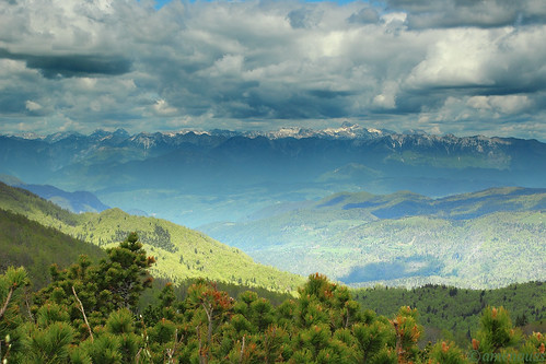 wood blue sky sun mountain color tree green pine clouds landscape spring slovenia