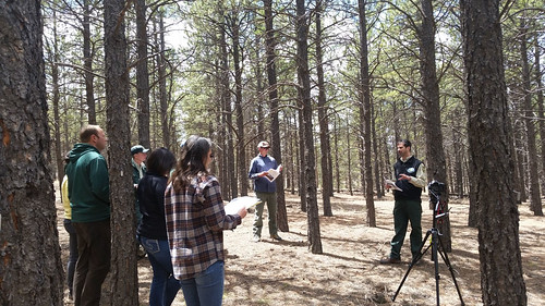 Research Forester Mike Battaglia leading a field tour at the Manitou Experimental Forest