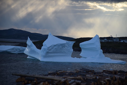 canada newfoundland labrador icebergs stlewis foxharbour