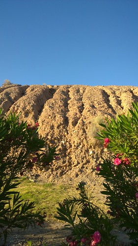 arizona erosion hedge hillside oleander parker lumia lumia1020 nokialumia1020 moovalyakeys