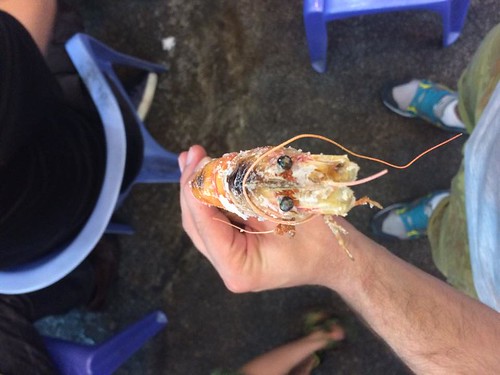 Reach to Teach shrimping event