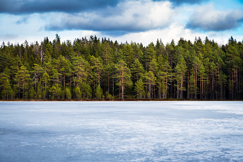 lake ice pine forest suomi finland landscape spring pond scenery april polarizer tampere maisema metsä järvi jää kevät lampi hervanta mänty huhtikuu makkarajärvi polarisaatiosuodin