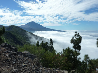 Teide above the clouds