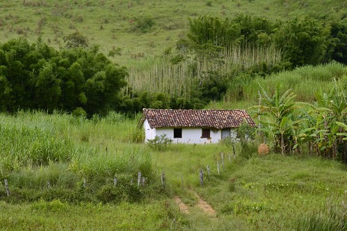 brazil house minasgerais verde green brasil rural casa nikon farm interior bananas campo outono fazenda roça casinha juizdefora bananeiras sarandira d5100 márciavalle