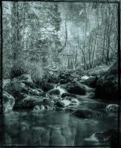 longexposure trees light bw black texture nature water monochrome weather norway creek canon reflections river dark landscape photography eos grey photo waterfall scenery rocks long exposure flickr mood foto outdoor awesome details tripod border norwegen scene location best frame mysterious environment bergen lovely scandinavia sihouette wald contrasts comp blackandwithe 60d