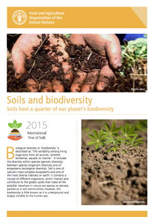 土壤與生物多樣性（圖片來源FAO）