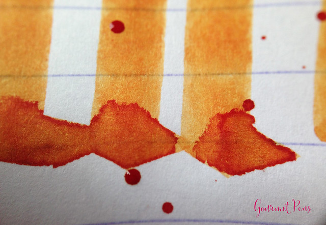Ink Shot Review Diamine Autumn Oak @CouronneDuComte (8)