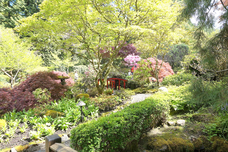Japanese garden 2