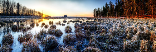 canada sunrise alberta marsh prairie
