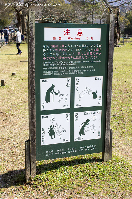 奈良 NARA - 奈良公園 Nara Kōen