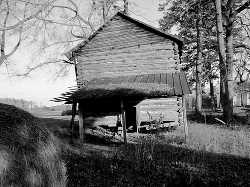 county door trees roof winter bw sunlight barn rural tin evening virginia blackwhite wooden shadows charlotte dusk farm country entrance logs storage round unfinished hay agriculture bales posts economy tobacco redoak drying weak shedroof