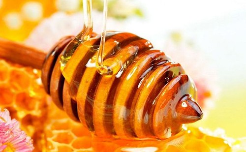 miel-panal-abejas-beneficios-propiedades
