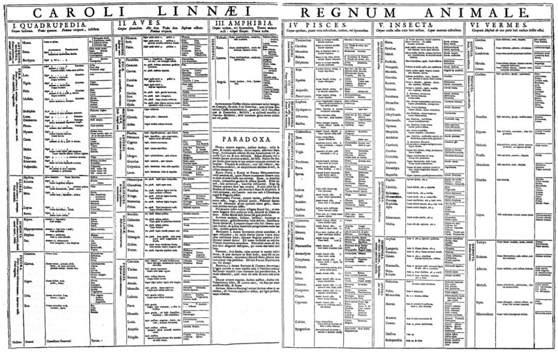 The 1735 classification of animals by Carl Linnaeus