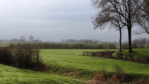 nature netherlands view farmland moisture