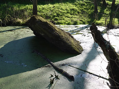 Le dolmen de 'la Pierre Couvretière' à Ancenis - Loire-Atlantique - Avril 2015 - 06