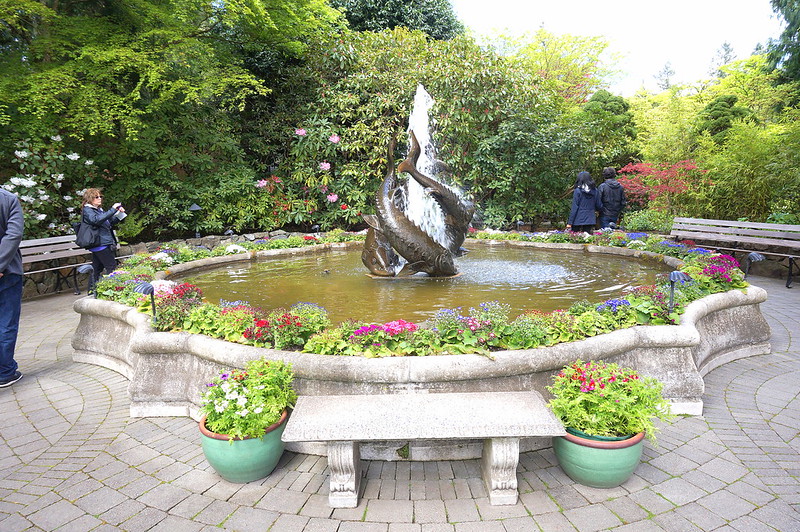 fishy fountain