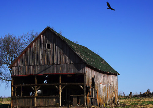 old barn iowa vulture disrepair