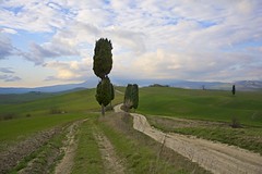 Val d'Orcia.. or Heaven??