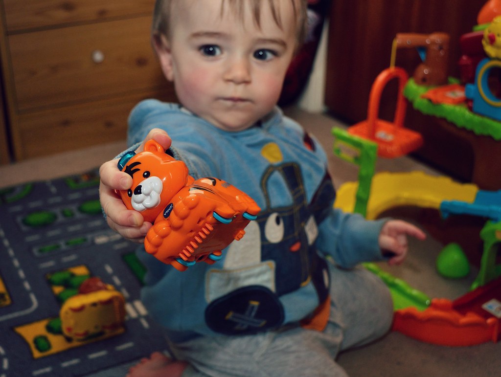 Review of Vtech Toot-toot Animals & Tree House.