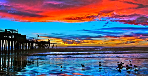 ocean california sunset red nature birds clouds reflections coast sundown piers sunsets scene calif pacificocean pismobeach westcoast californiadreaming californiaoutdoorsnature