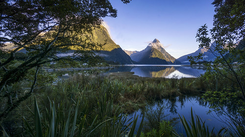 morning cruise newzealand lake reflection sunrise mirror seaside calm southisland serene milfordsound tranquil southland calmness mitrepeak fiordland sonya6000