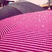 #instagram #instastill #Korea #Seoul #city #still #rain #drop #pink #umbrella #stripe #서울 #비 #분홍 #우산 #빗방울