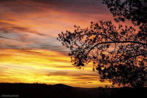 california sunset beauty pinetree clouds hills socal southerncalifornia orangecounty danapoint theoc sanjuancapistrano