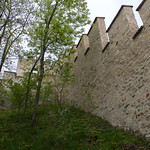 Petrinin muuri