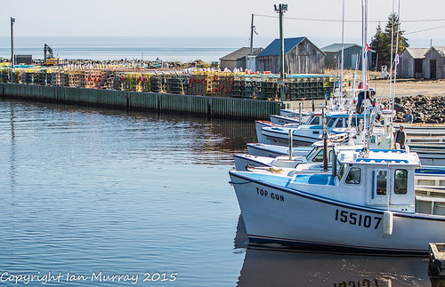 lobsterboats toneyriver