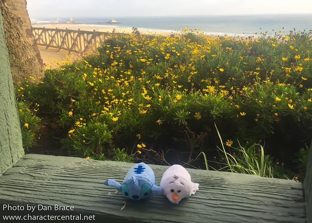 The Tsums in Santa Monica