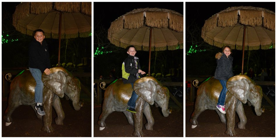 riding the elephant