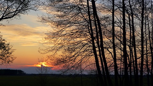 polska poland przyroda nature drzewo tree wschódsłońca sunrise pejzaż landscape sony a77 wiosna spring beautifulearth
