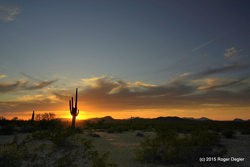 sunset arizona sky usa clouds florence desert saguarocactus