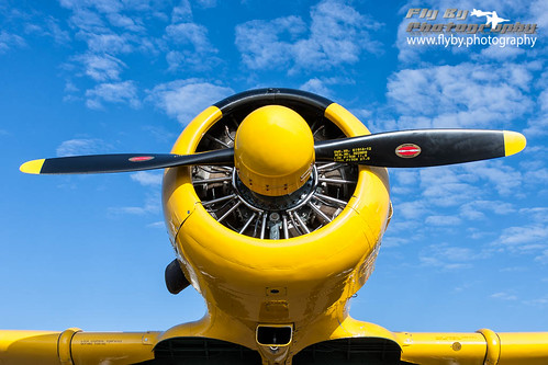 yellow plane virginia flying unitedstates formation airshow manassas usaf trainer warbird usairforce aerobatic northamericant6gtexan danhaug manassasmunicipalharrypdavishefkhef n3167gta272493272cn168726