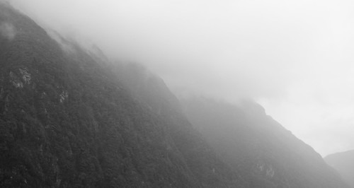 travel newzealand blackandwhite bw mist travelling fog forest blackwhite aotearoa tramping fiordland lakemanapouri tewahipounamu