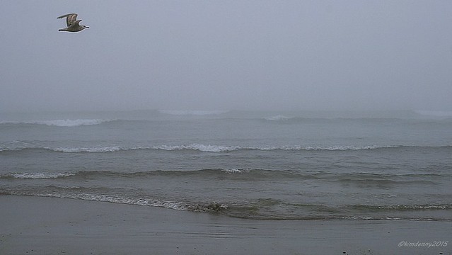 York Beach, Maine, fog