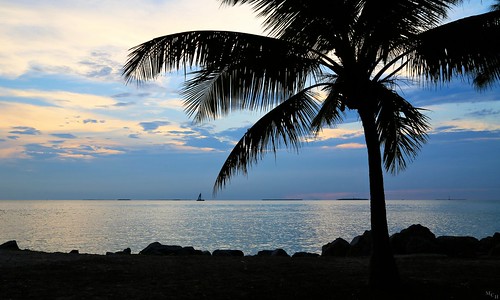 photosbymch landscape seascape sunset palms palmtree shoreline silhouette sailboat goldenhour gulfofmexico fortzacharytaylorstatepark keywest florida usa canon 5dmkiii 2015