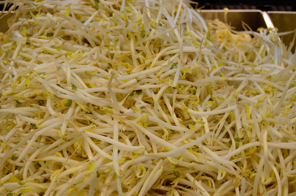 Bean Sprouts