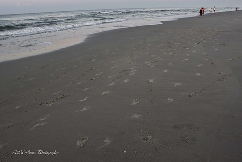 morning travel beach sc water sunrise landscape dawn early sand view bright tide southcarolina footprints rise tidal wyndham northmyrtlebeach 20150606myrtlebeachdawn
