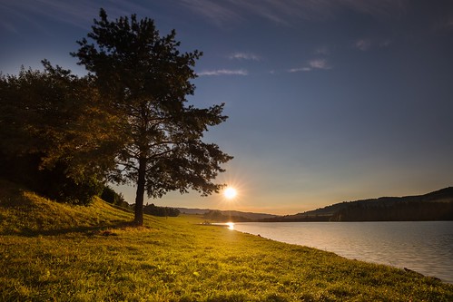 shore reservoir dam yellow weather village tree sunny sunlight sundown water sunset sun sky season scenic scenery scene rural plant outdoors outdoor orange nature natural light landscape image idyllic green grass forest field evening countryside country colorful color cloudy beauty beautiful background