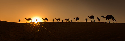 travel vacation india sunrise canon geotagged google flickr camels smugmug facebook thardesert 1dx samsanddunes ef1635f28liiusm alexstoen alexstoenphotography canoneos1dx