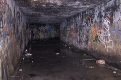 Main Tunnel