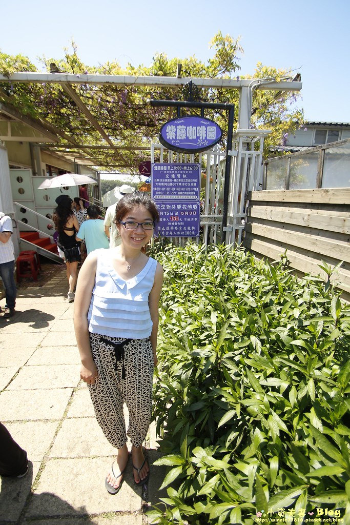 紫藤咖啡園 (161)