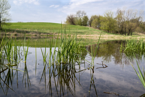 leica reflection rural pond farm iowa leicax2