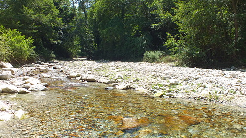 fiume acqua ruscello montagna paesaggio torrente allaperto cittanova lettodelfiume vacale torrentevacalecittanova